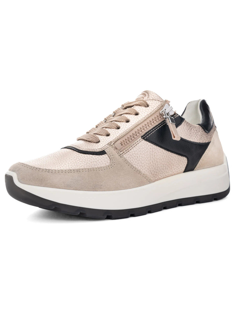 Ara 12-25112 New York trainer