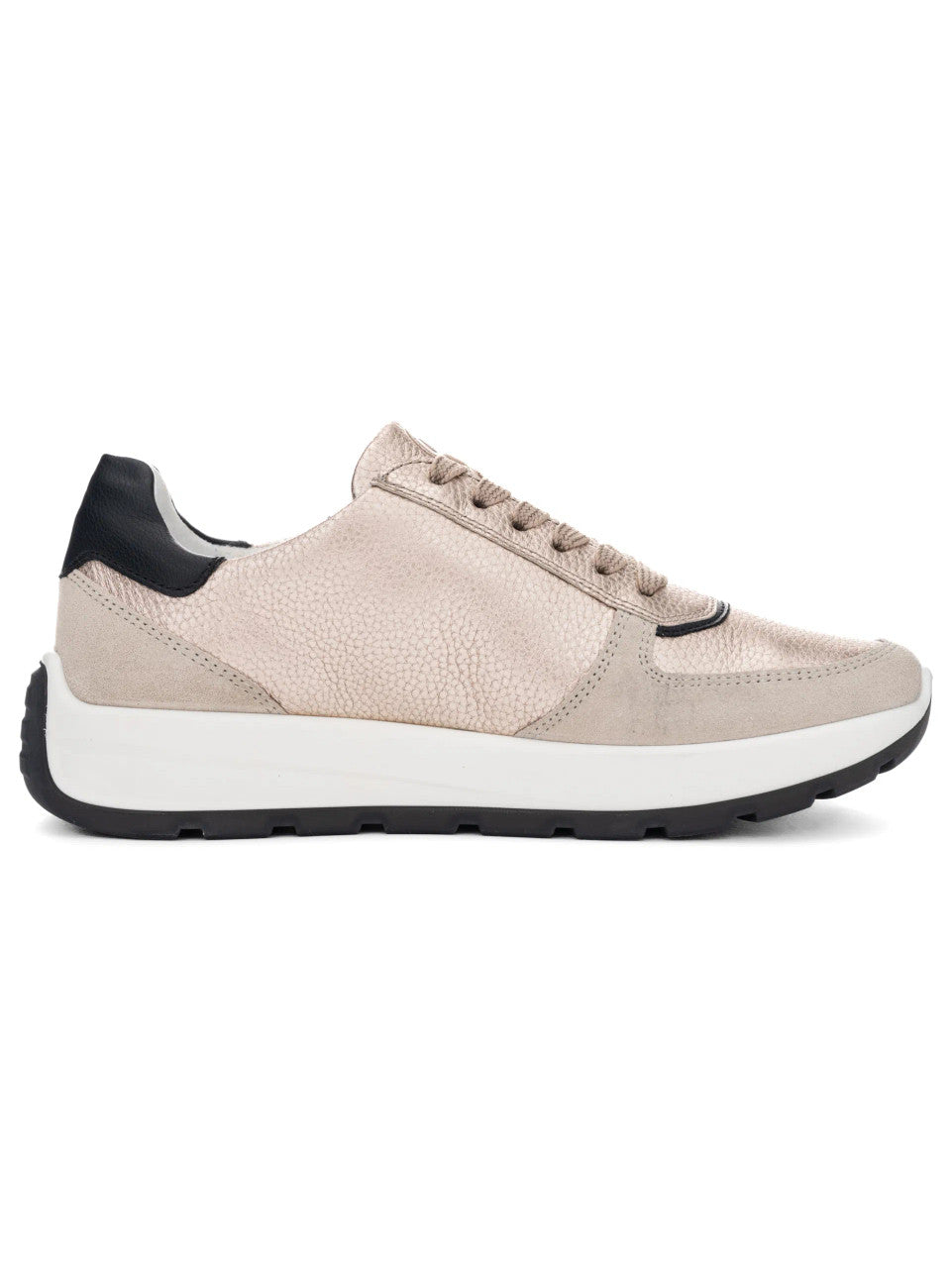 Ara 12-25112 New York trainer