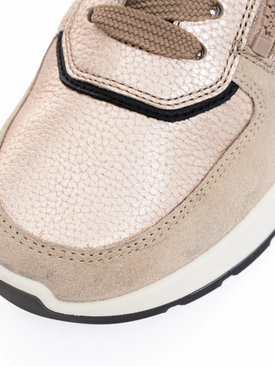 Ara 12-25112 New York trainer