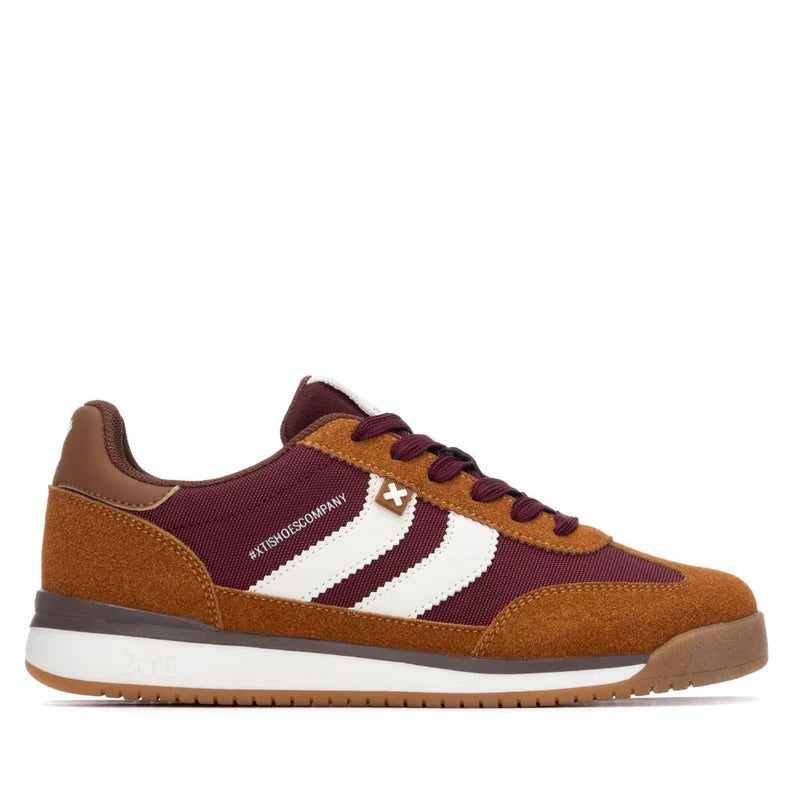 Xti Camel trainer 144587