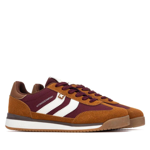 Xti Camel trainer 144587