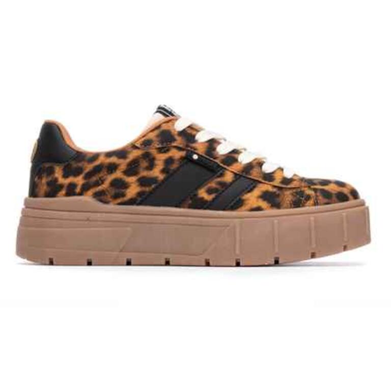 Refresh Camel Trainer 173107