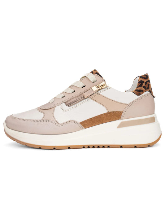 Ara 12-57702 trainer