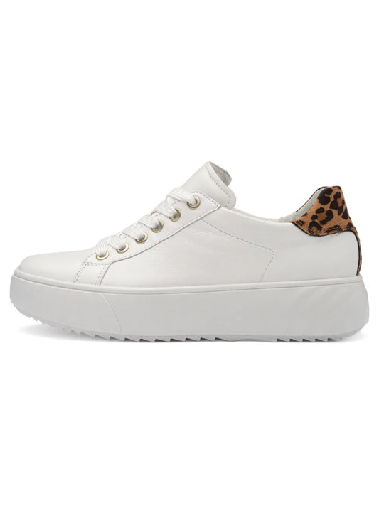 Ara Monaco white/leopard