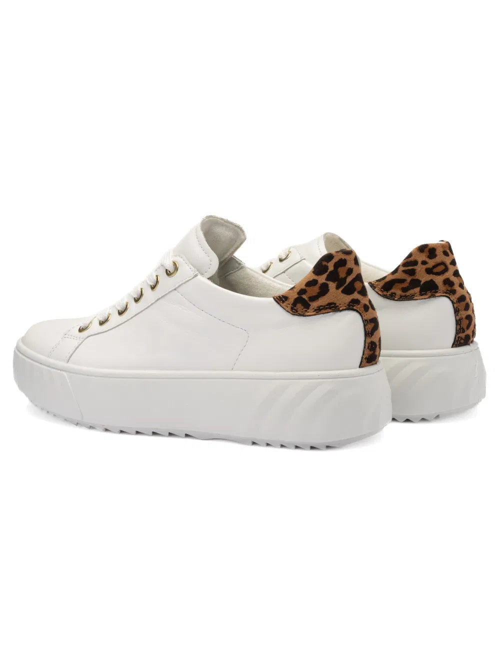 Ara Monaco white/leopard