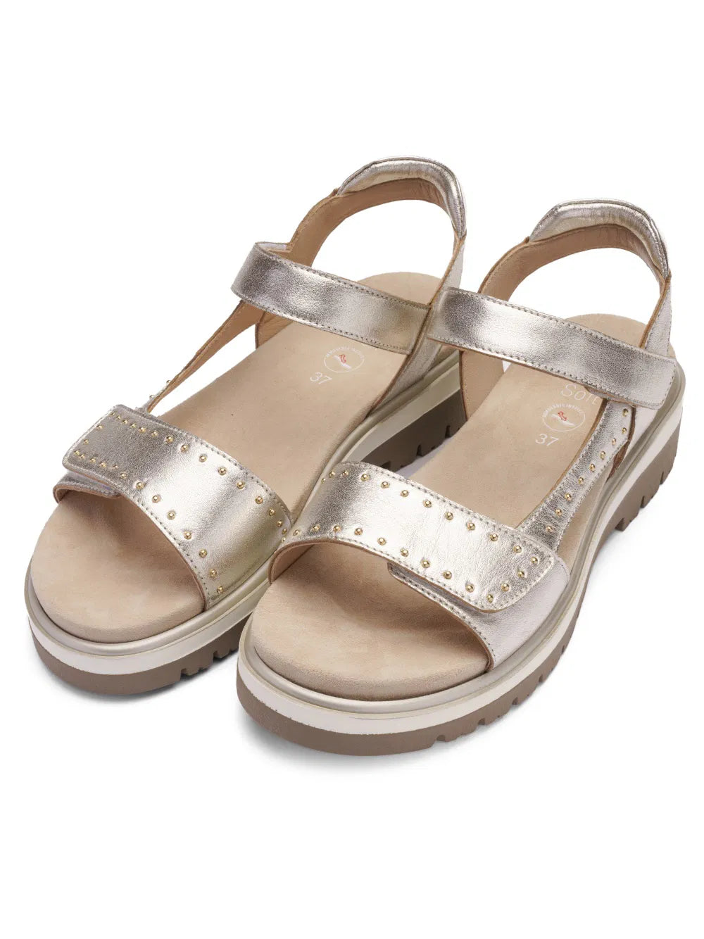 Ara Malaga Sandal 12-21008-11