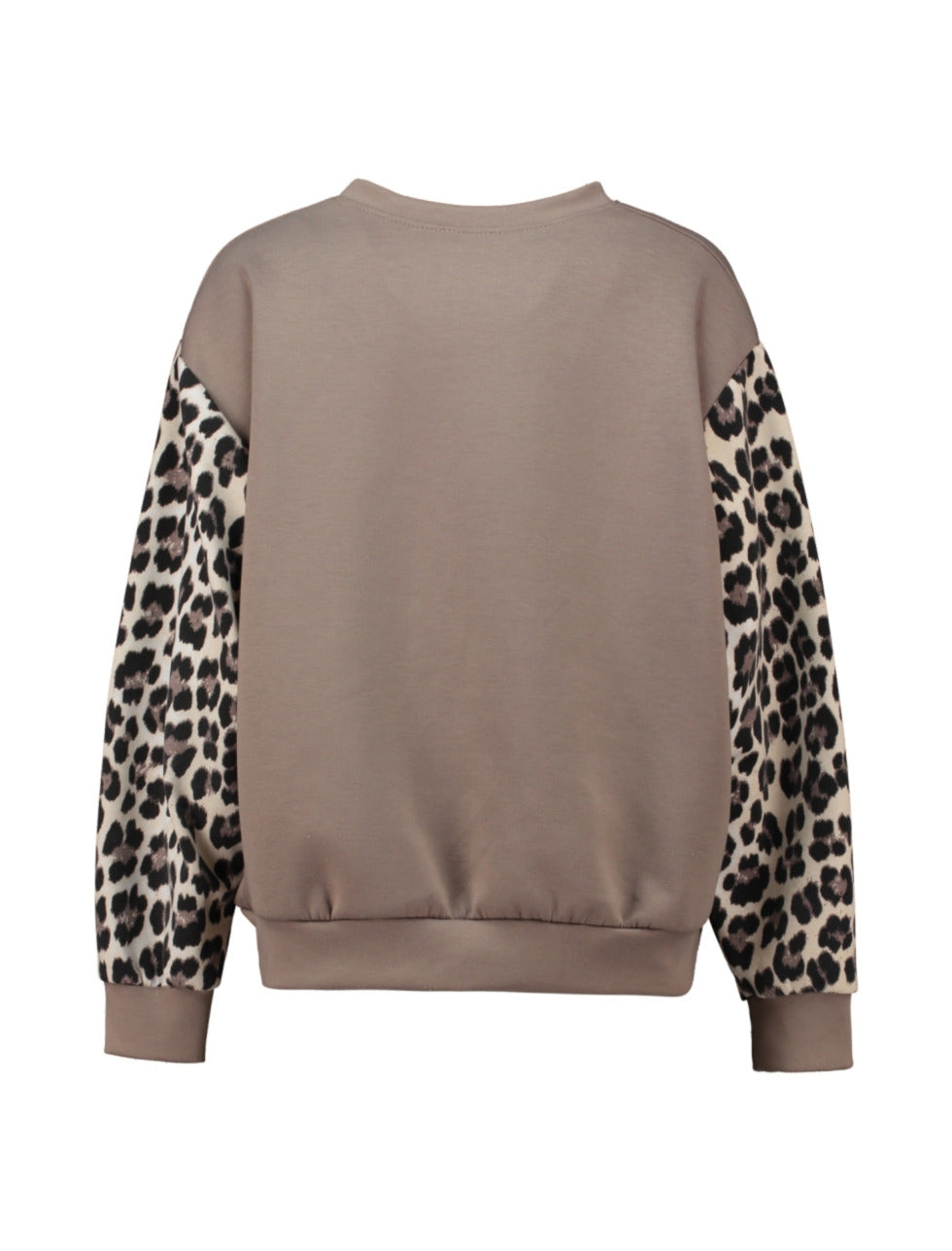 Ne44wyork Sweatshirt - taupe/leo