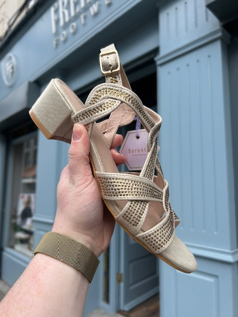 Wyatt Gold Heel