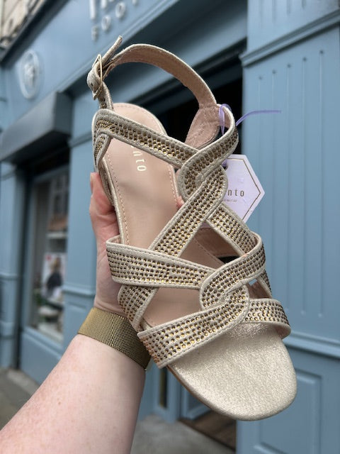 Wyatt Gold Heel